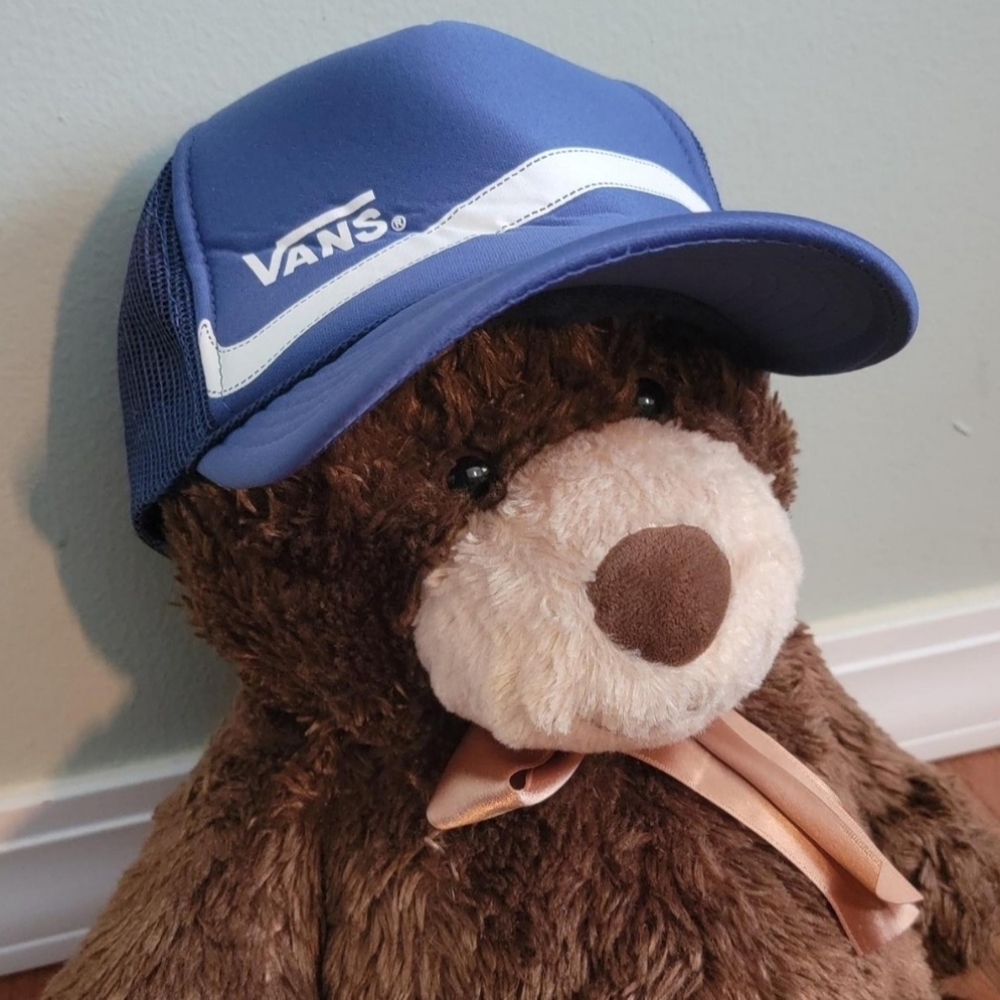Vans Blue Cap
